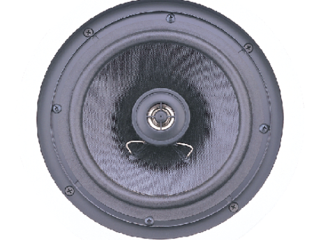 8” Ceiling Speaker 35 W